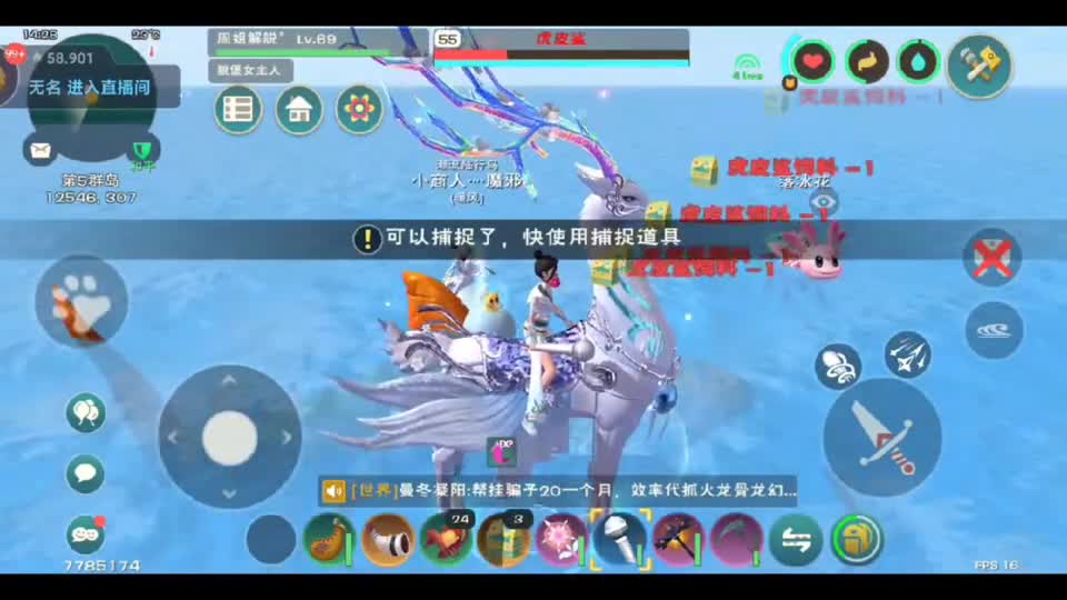 周姐解说：创造与魔法2708期，训虎皮鲨我沦陷了！