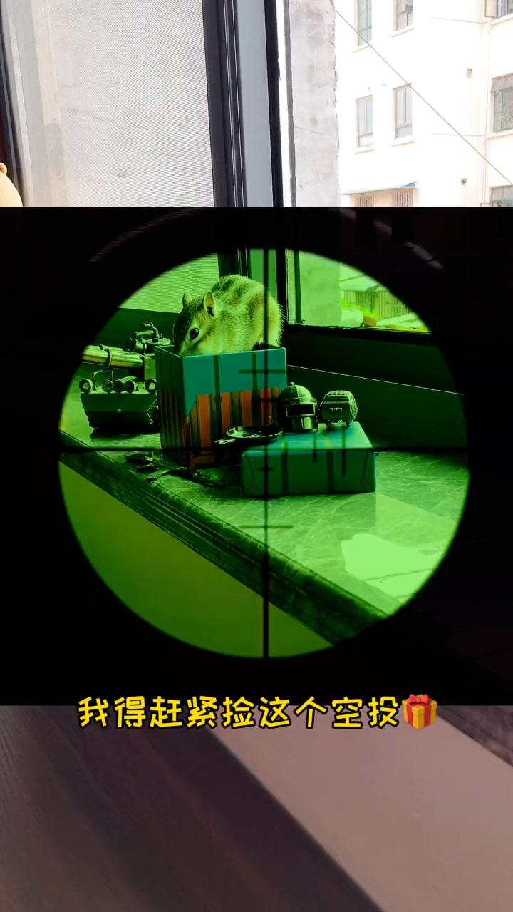 那一天小松鼠终于学会了玩吃鸡~一个人的自我拉扯