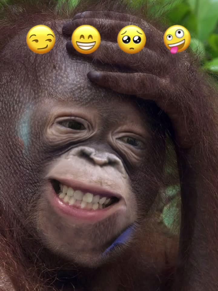 哈哈，今天又来看你的视频喽，爱你哟。哈哈哦了？