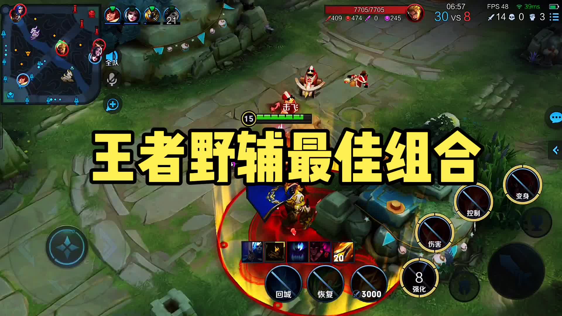 王者野辅最佳拍档，你觉得呢？
