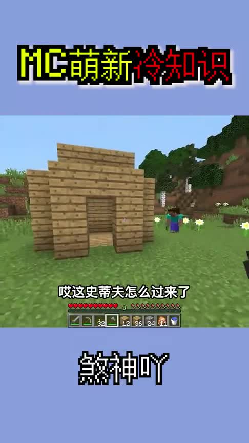 我的世界：MC新手冷知识，这样的MC你见过吗？躺着走路？（2）