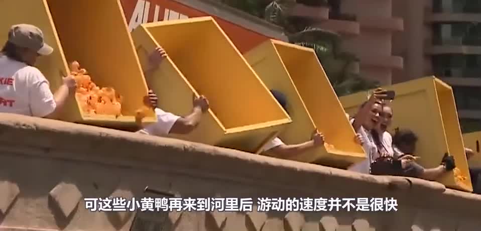 60000只小黄鸭倒入湖中，场面相当震撼，为啥要这么做呢