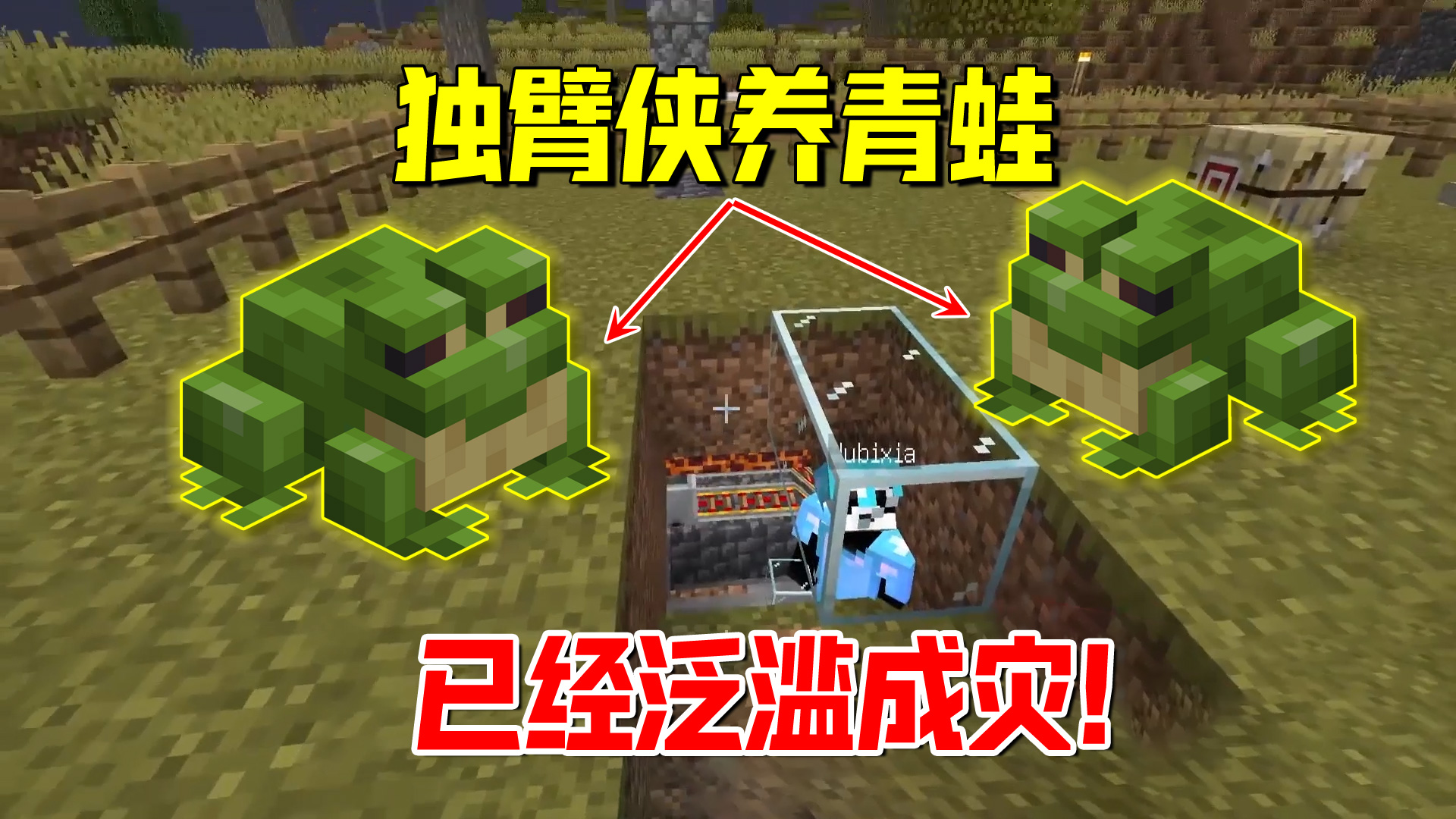 我的世界1.19联机38：独臂侠在家里养青蛙，已经泛滥成灾了#我的世界#沙盒游戏