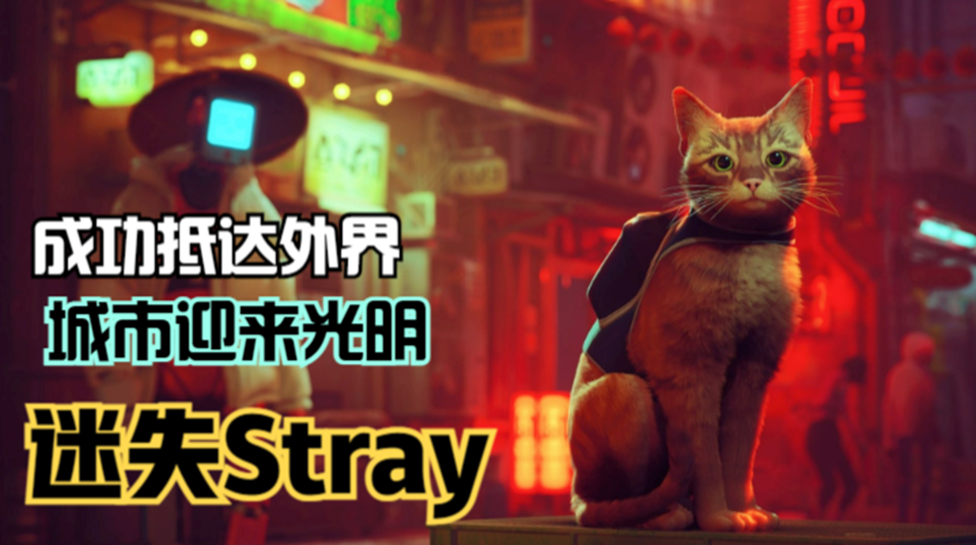 【迷失Stray】主角成功返回地面！地下之城迎来外界光明#单机游戏#游戏解说