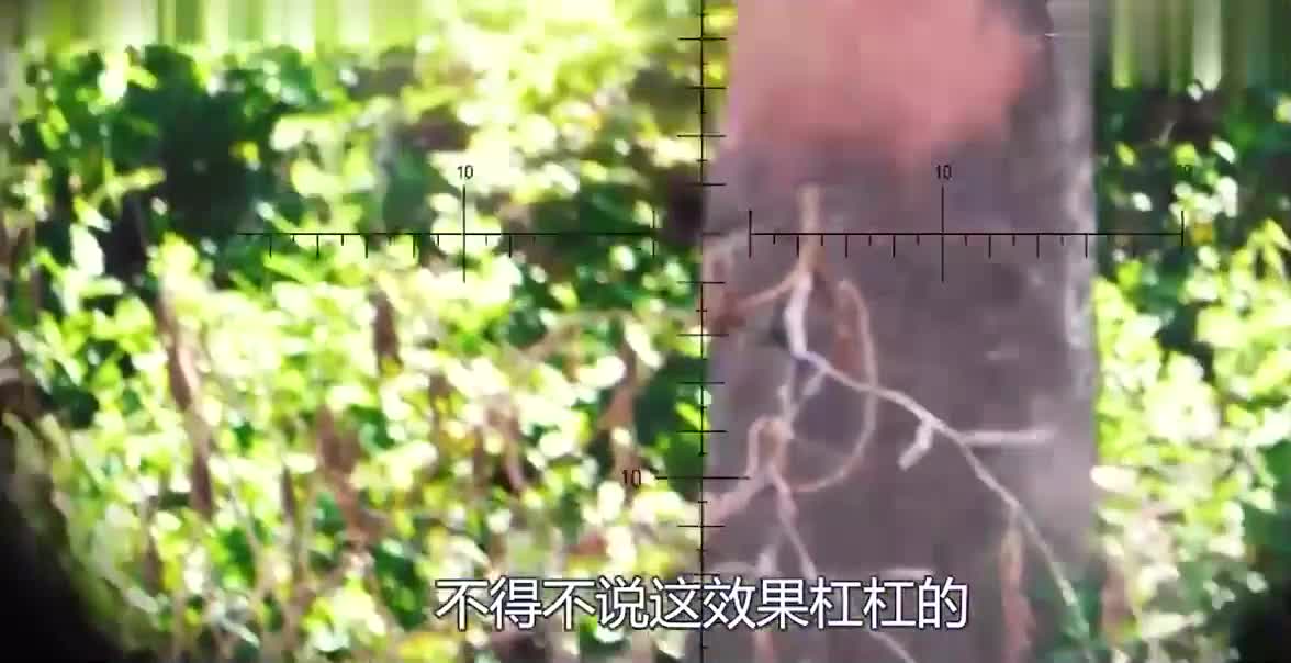 第一人称玩具枪大战：小伙孤军深入敌营，一波操作全军覆没！