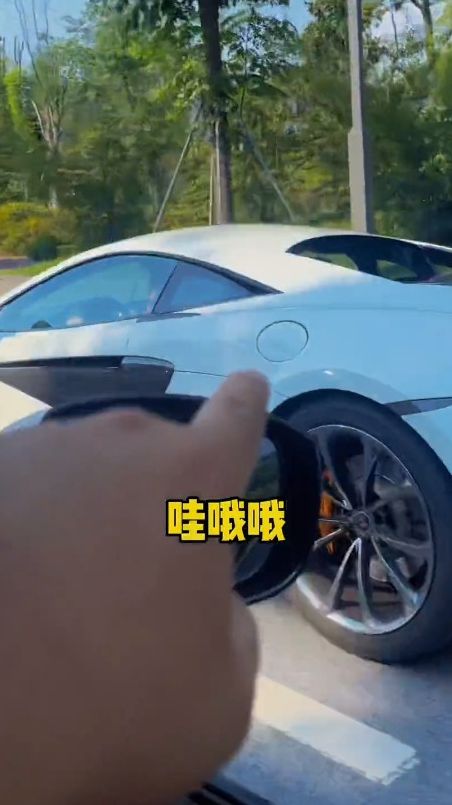 哥们哥们，你见过扮猪吃老虎吗？