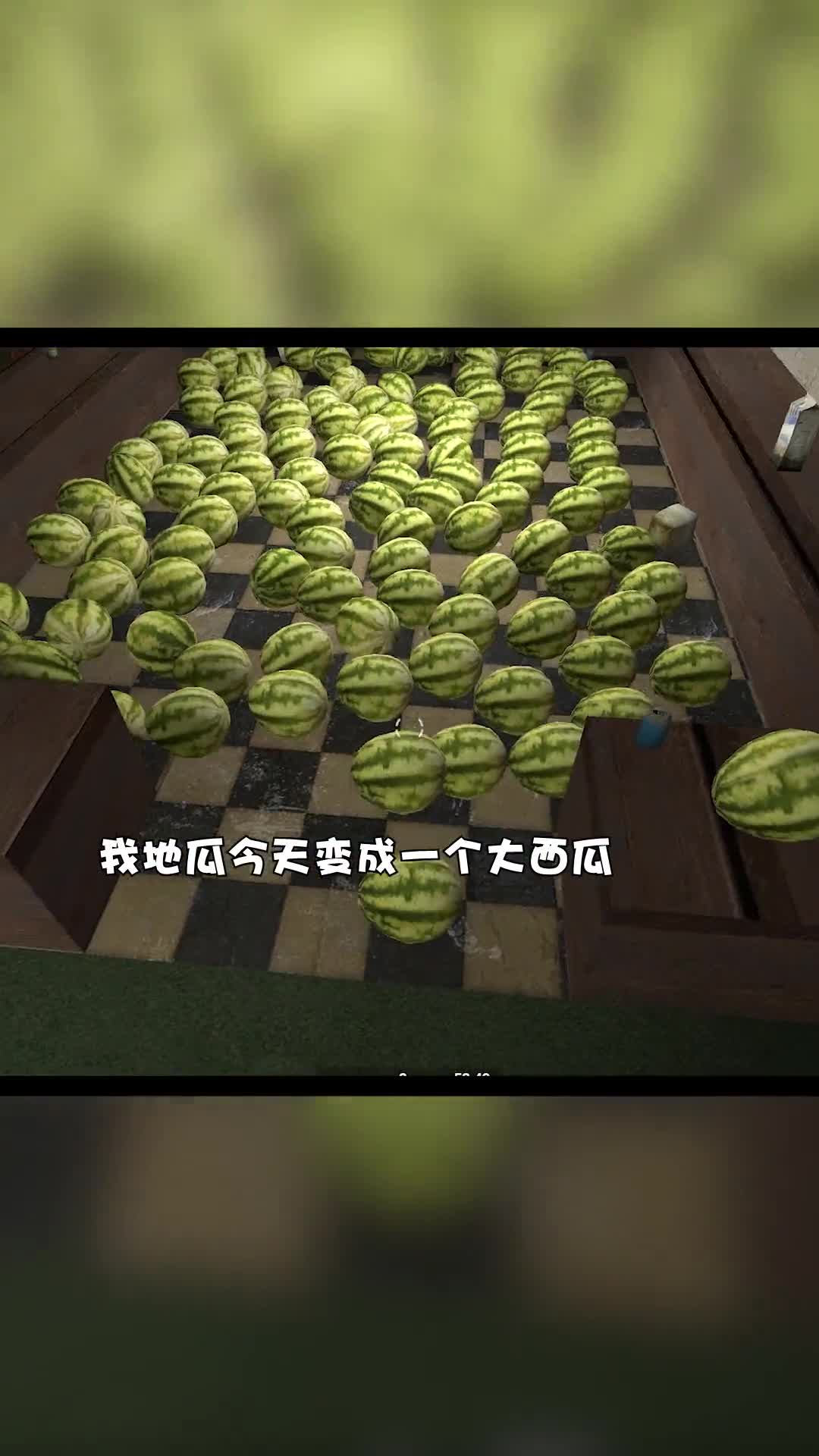 捉迷藏躲在这一堆结实的西瓜中太合理了