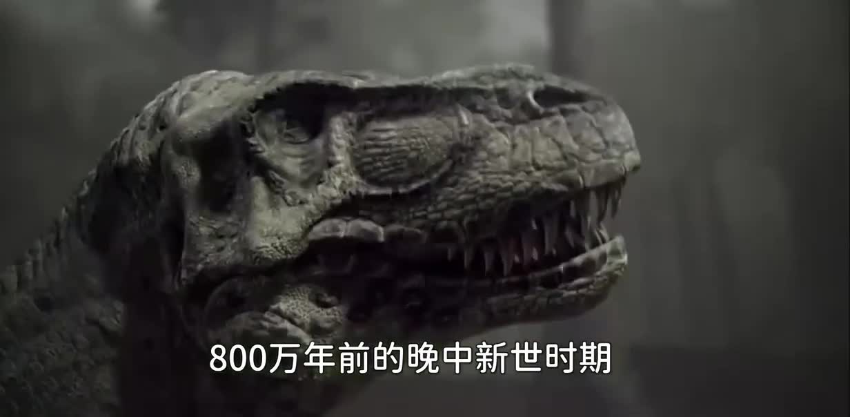 5种能够打败霸王龙的超级恐龙，霸王龙终结者出现了
