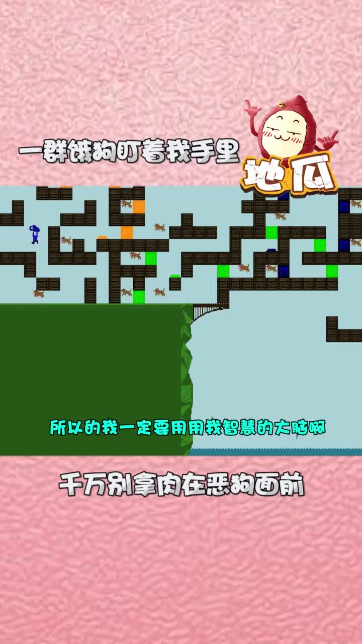 最后它们也没能吃到我手里的肉