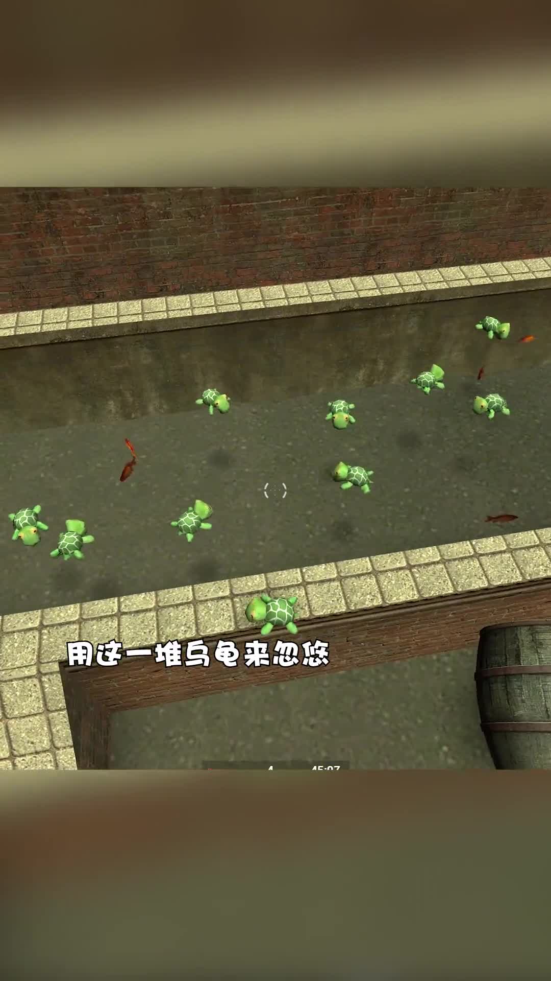 总算让我找到这么多小乌龟了
