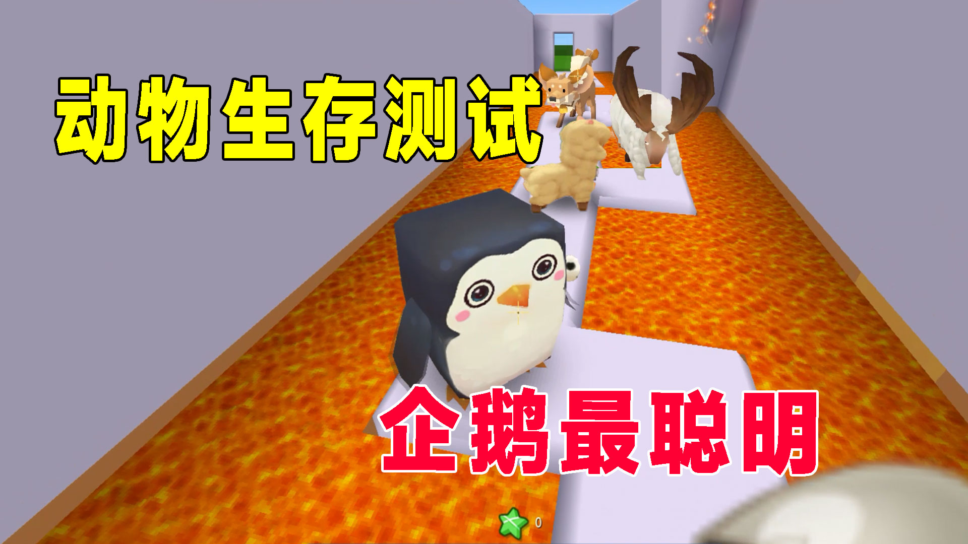 迷你世界：不同的动物参加考试，企鹅小但聪明，狐狸狡猾比较笨#迷你世界#沙盒游戏