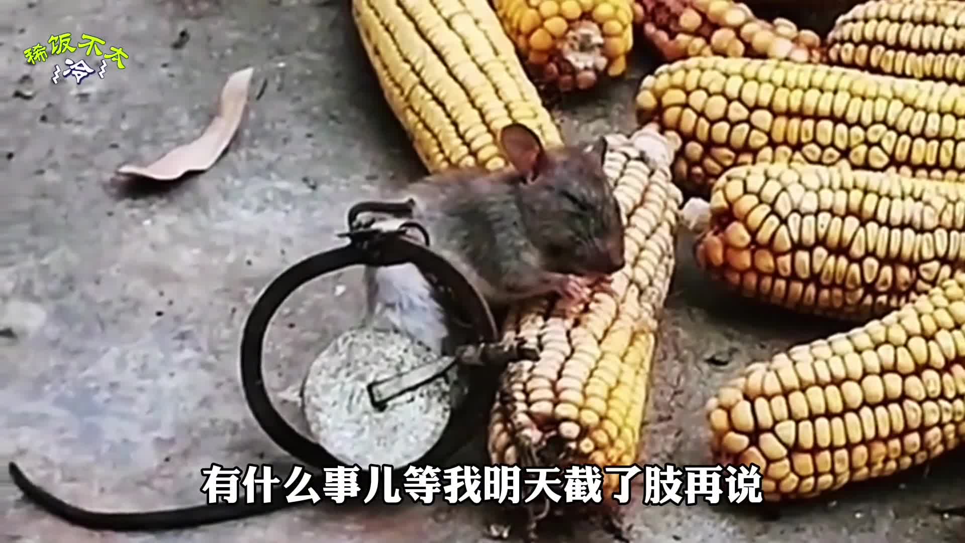 咖妃娘娘的名号也是你能随便叫的吗？拖出去斩了！
