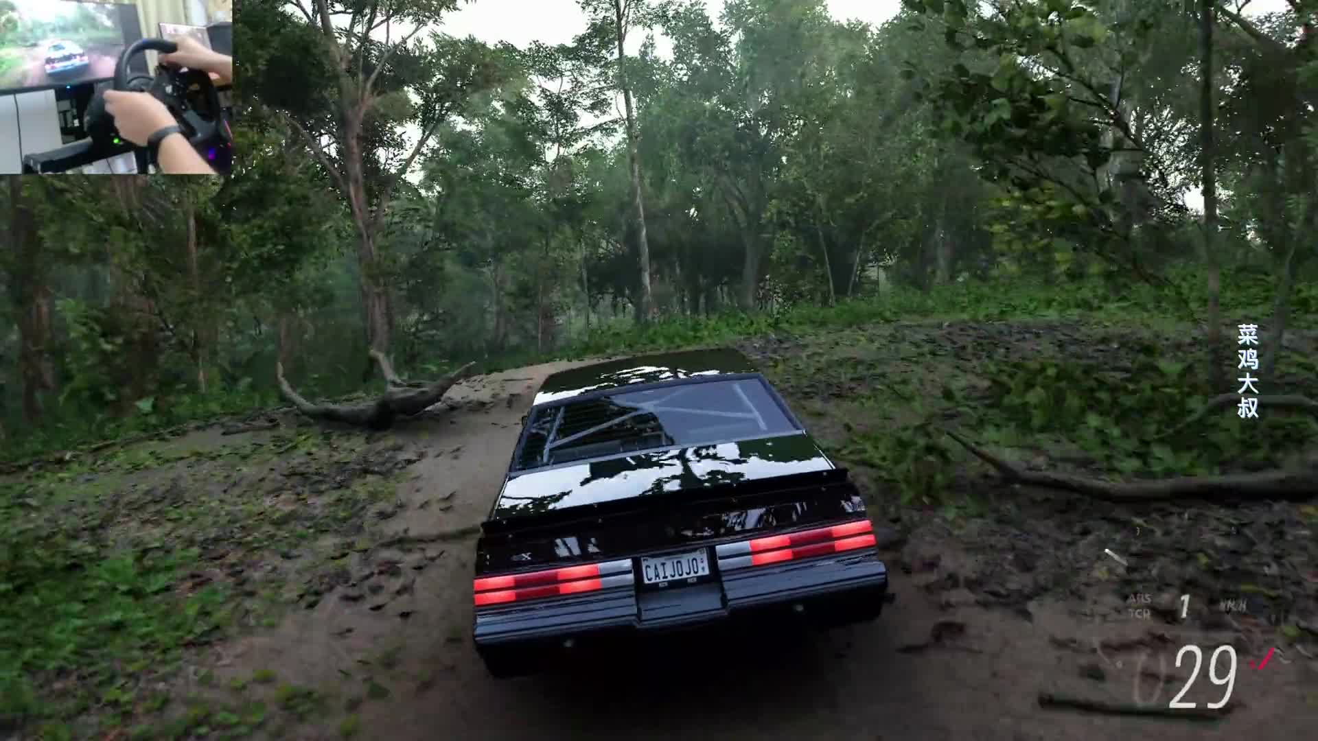 试驾 1000马力 1987限量款 别克 REGAL GNX 【极限竞速地平线5】