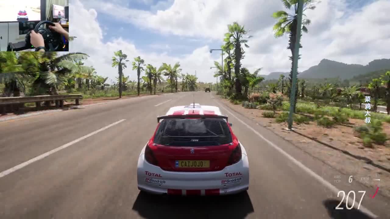试驾 450马力 2007款 标致 207 SUPER 2000【极限竞速地平线5】