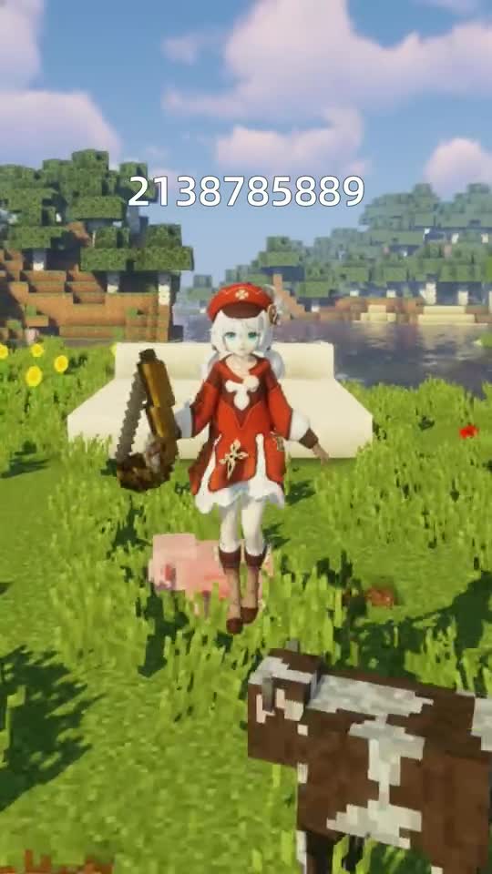 我的世界：很稀有的种子