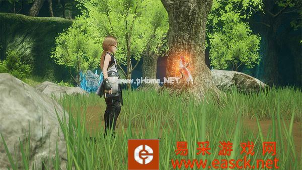 社交种田模拟《HARVESTELLA》实体版封面公开