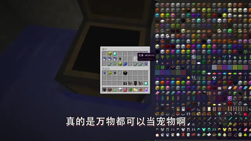 我的世界Mod：凋零被击败后能放进背包当宠物？还能使用专属技能！