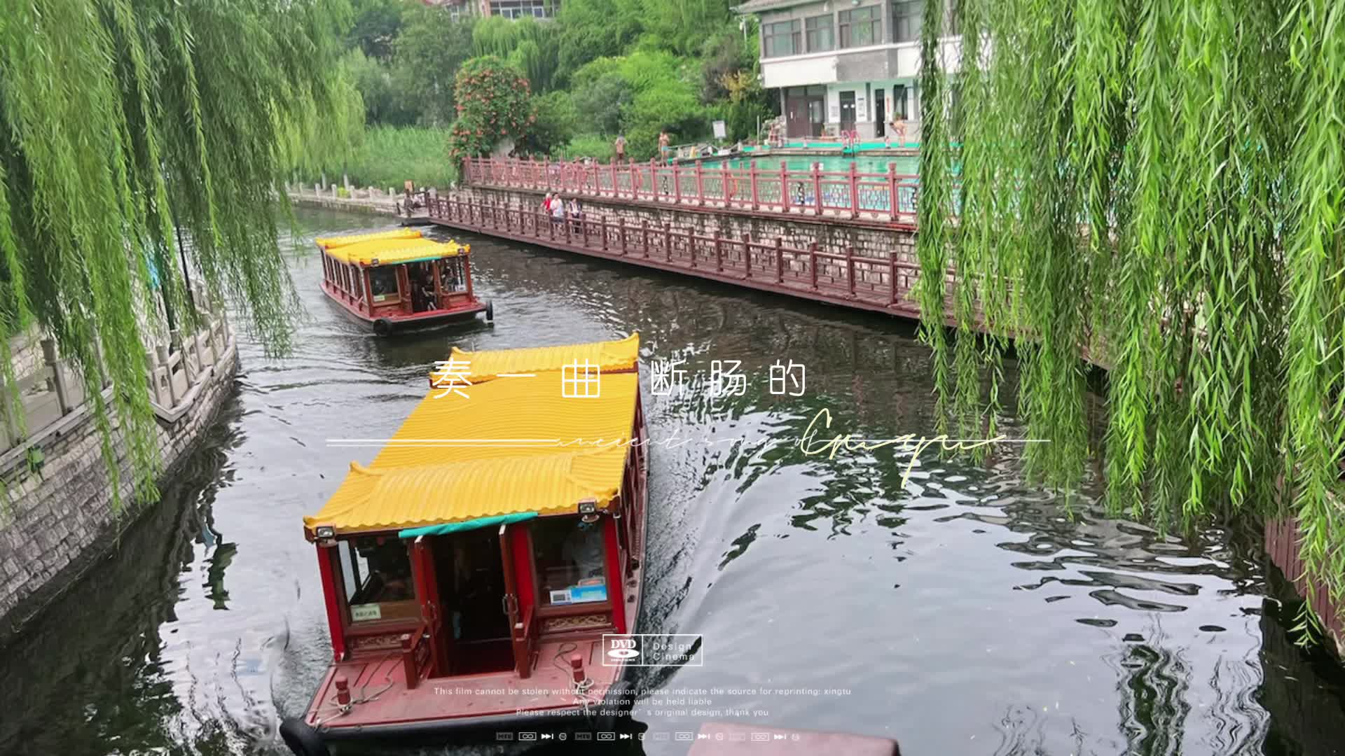 这里很美呀，突然喜欢上小鱼儿