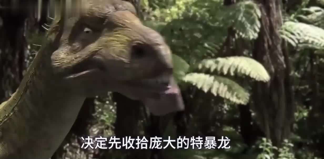 特暴龙决斗镰刀龙！比霸王龙还要凶残？结果意想不到！