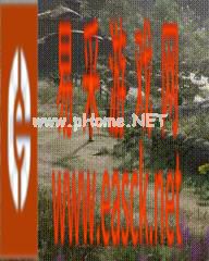 《霍格沃茨:遗产》跳票 玩家表示希望好好打磨