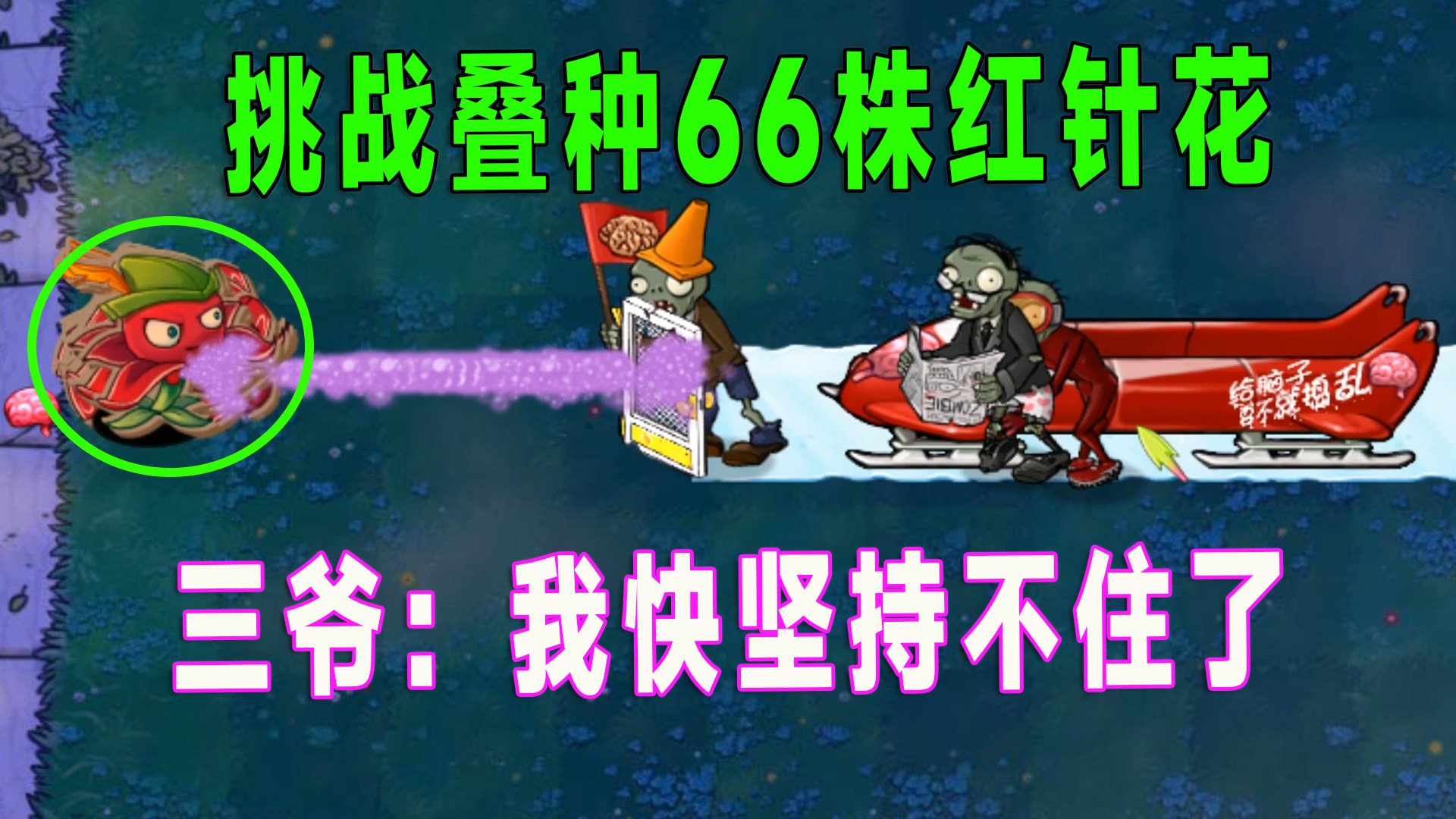植物大战僵尸：挑战叠种66株红针花，这次三爷能抗住吗？#植物大战僵尸