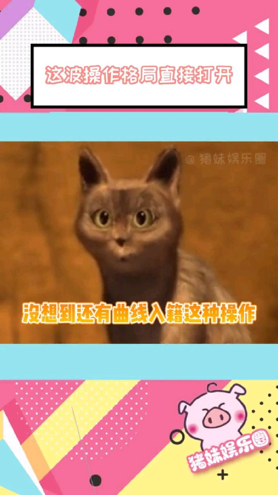 好一波曲线入籍！咱就说能用这bug的时间不多了