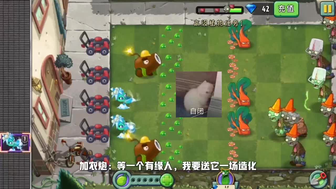 植物大战僵尸：来自加农炮的报复！以后可别叫它小黑了！