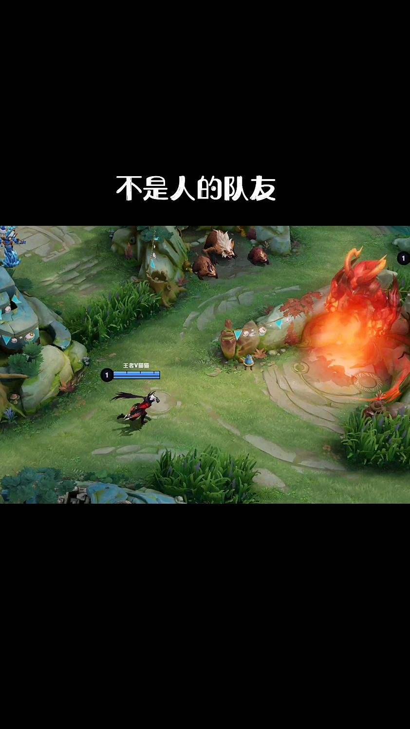 不是人的队友