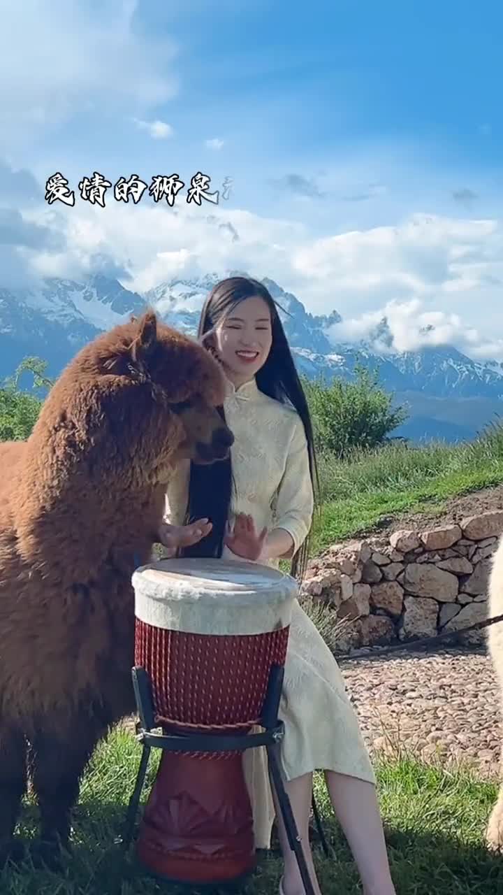 】小白在想什么呢你说.#