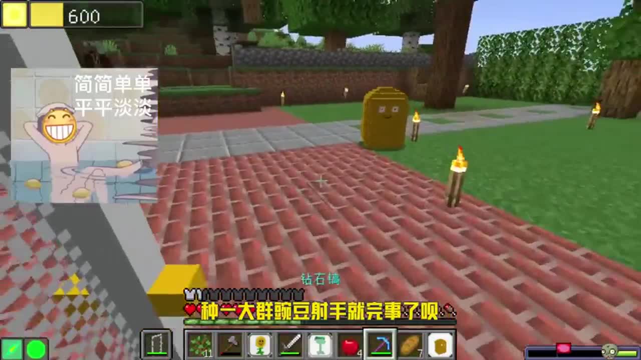 戴夫的MC冒险！豌豆射手的准头不如简单小白
