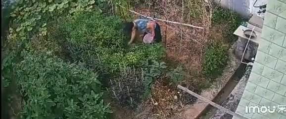 需要装监控的可以找我