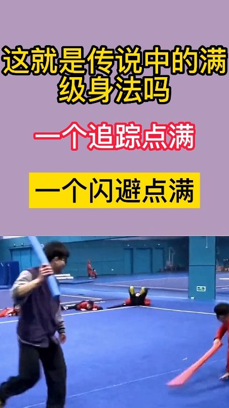 这就是传说中的满级身法吗？一个追踪点满，一个闪避点满
