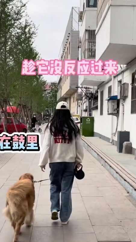 真不是我，它自己摔的