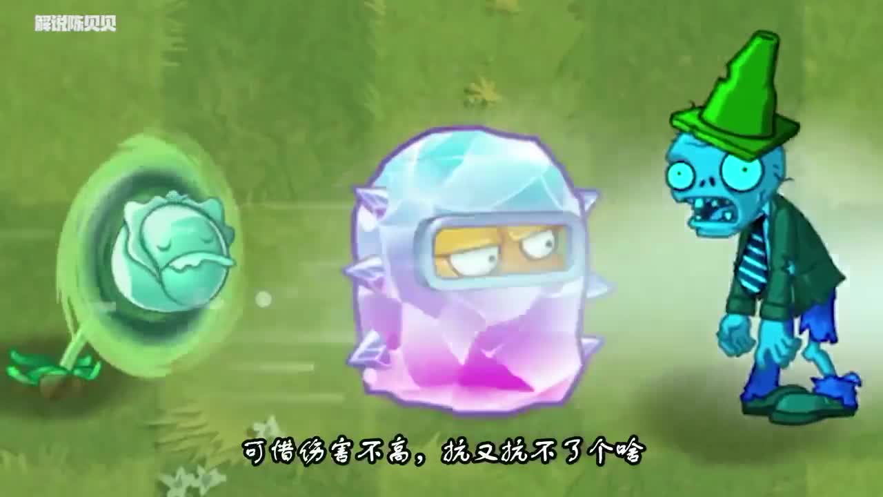 植物大战僵尸：假如植物有段位！王者居然是白卡？