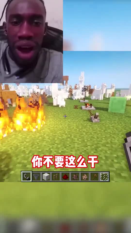 我的世界：羊羊这么可爱，用火焰弹烤着吃不香吗？