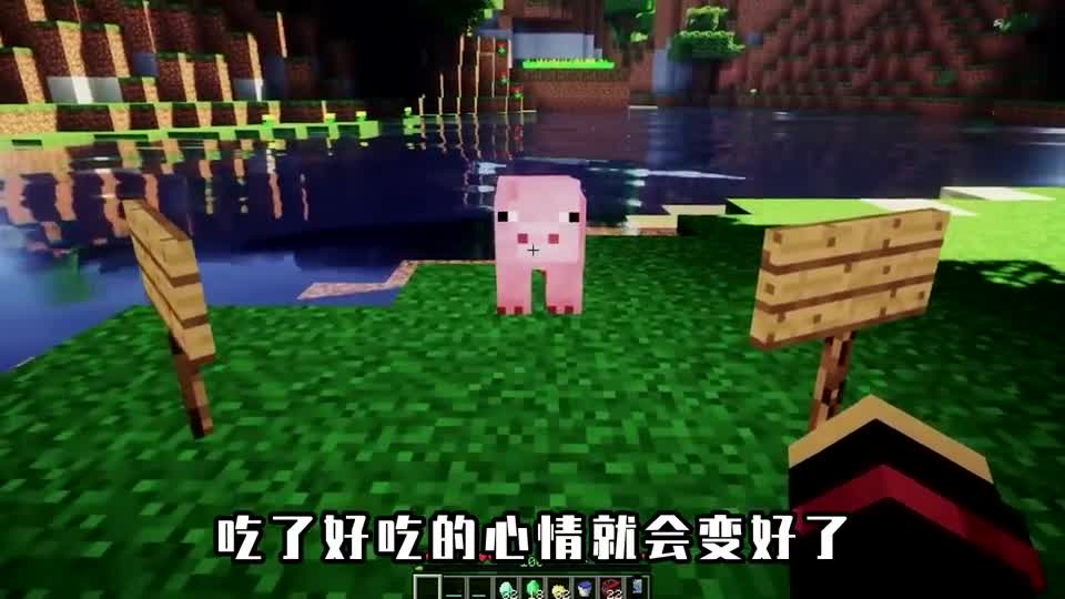 我的世界：河边忧郁的小猪，不喜欢吃胡萝卜，喜欢吃猪排？