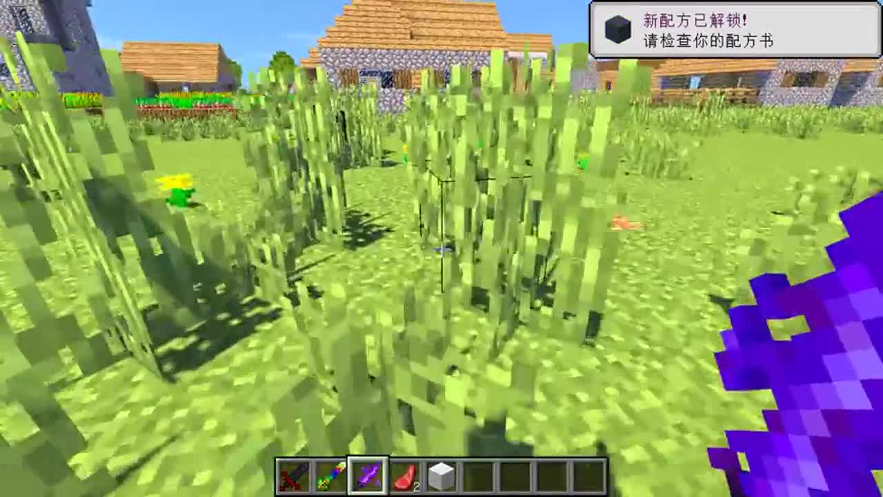 我的世界：56种剑，你喜欢哪把？