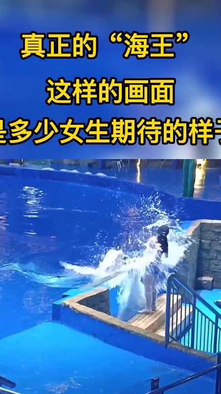 这才是真正的“海王”，女生期待的画面