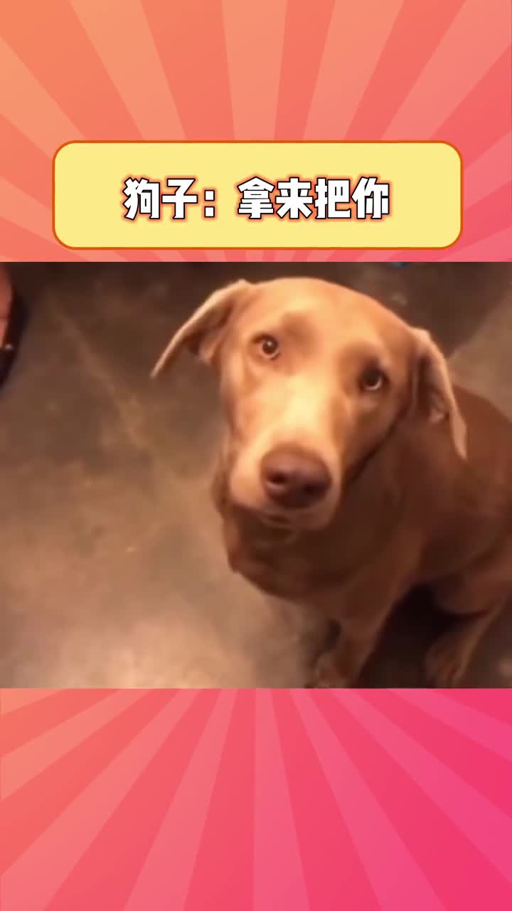 1661437722909