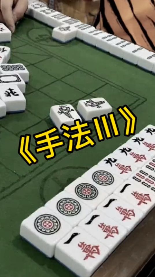 反转麻将：我是忠实粉丝，所以我有特权