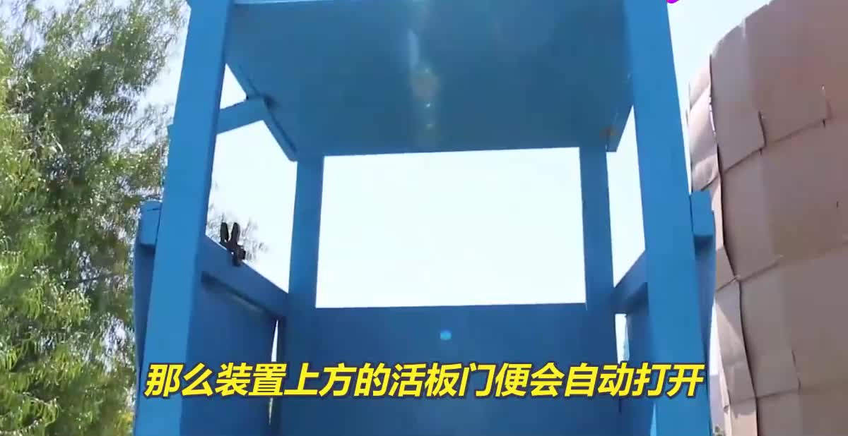 最刺激未知游戏，究竟哪个按钮是危险的，按错的下场惨不忍睹！