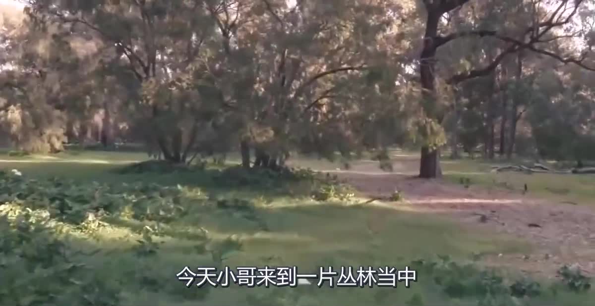 小伙误入我的世界，手持光剑大杀四方，僵尸们都不是对手！