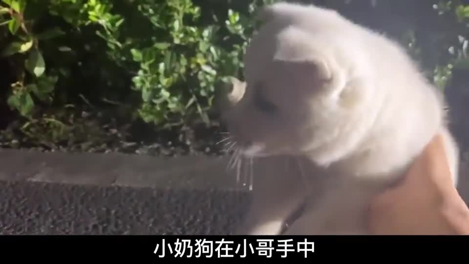 我对你们不感兴趣