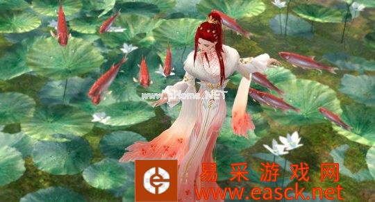 壁纸