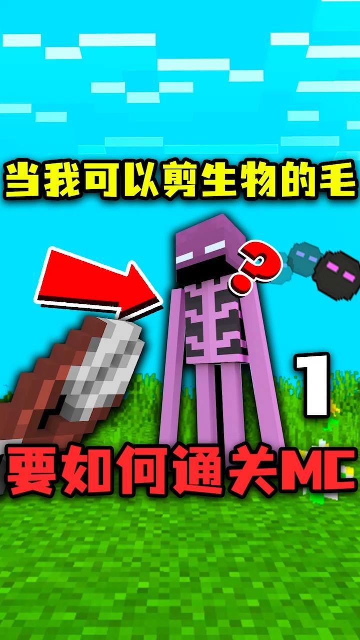#我的世界#我的世界：当我可以剪生物的毛！可以用来做装备，要如何通关MC？