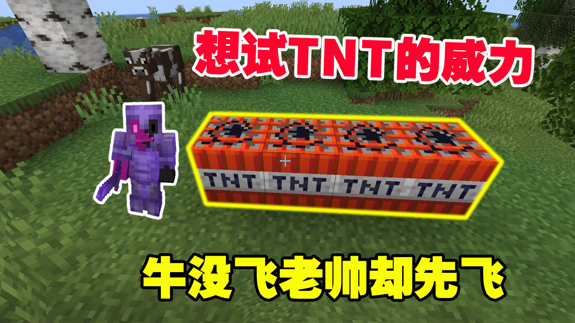 极限生存7：开出红石机关，想试TNT的威力，牛没飞老帅却先#我的世界#游戏新星扶持计划
