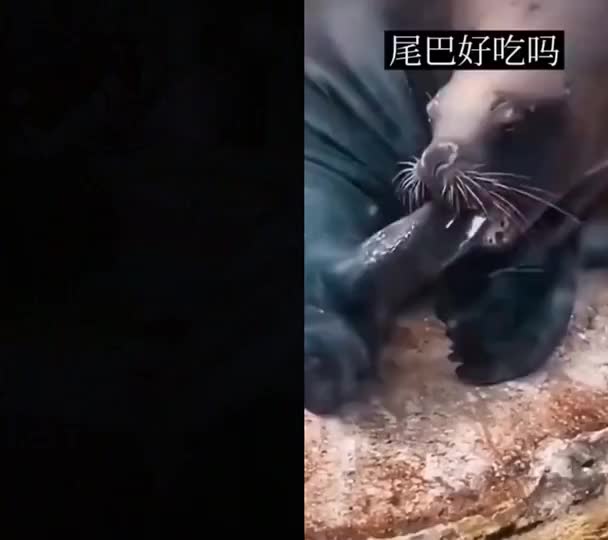 和 点加号 一起 #合拍