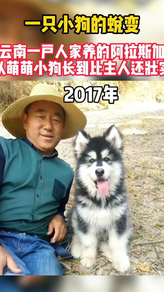 蜕变！网友：曾经小小少年，现在彪形大汉！