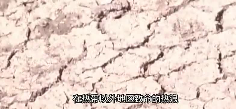 一觉醒来，两个坏消息和两个好消息！