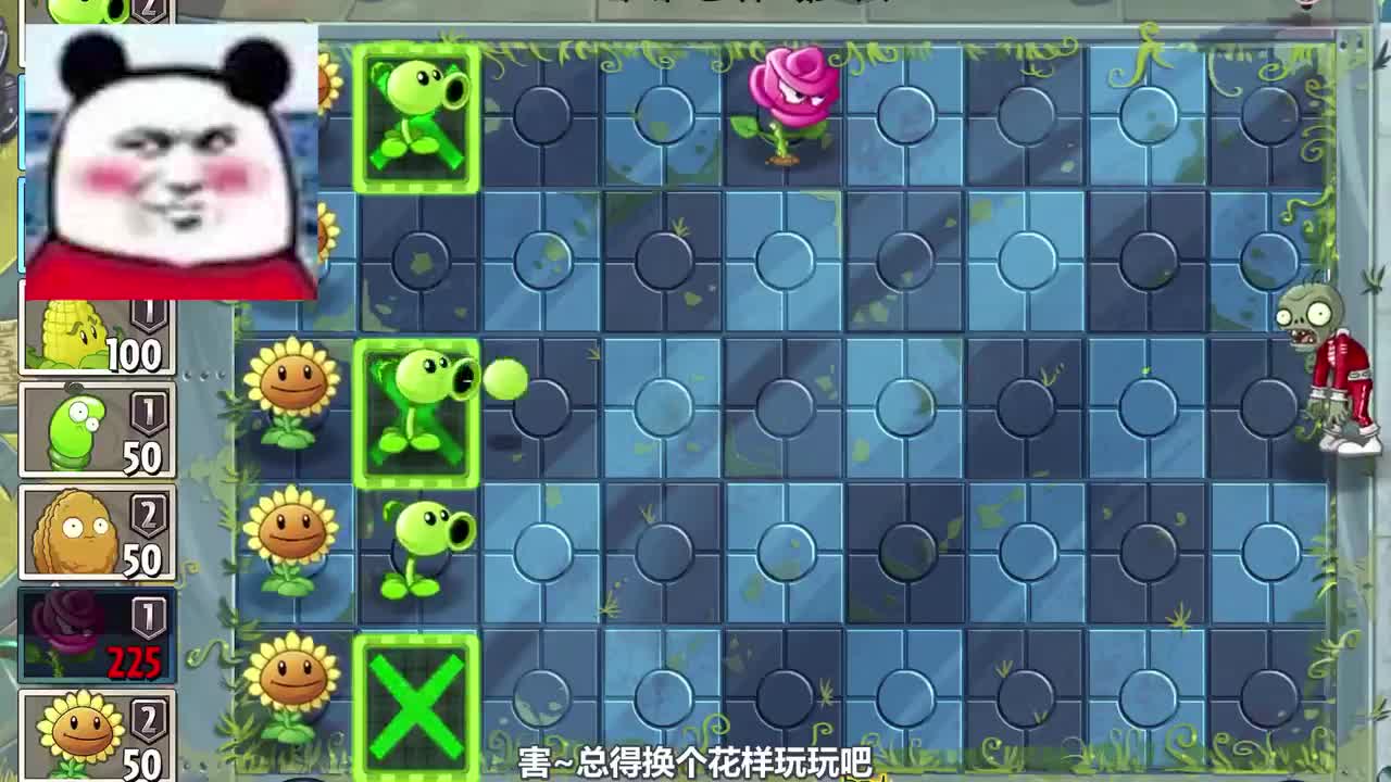 植物大战僵尸：玫瑰剑客和菜问，你们觉得谁更强？